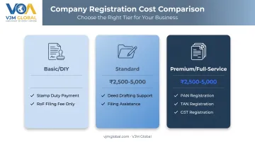 Three-tier partnership registration cost comparison DIY to full-service