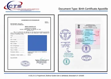 Certified legal documents with official stamps for international business registration