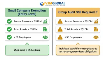 Singapore small company and small group audit exemption thresholds side-by-side comparison