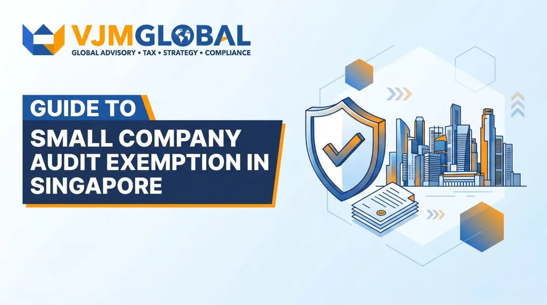 Guide to Small Company Audit Exemption in Singapore