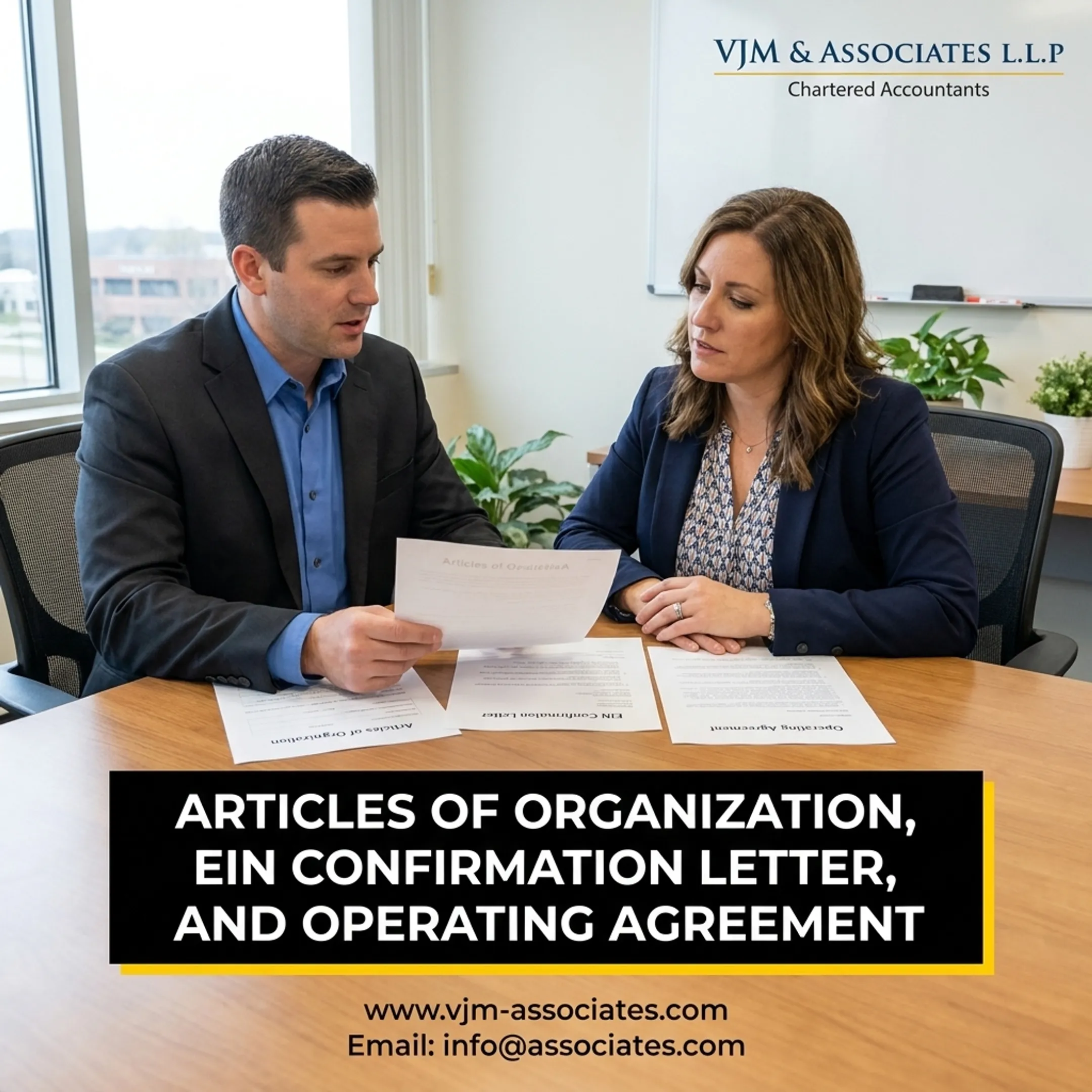 Advisor explaining LLC formation steps and documents to a business owner