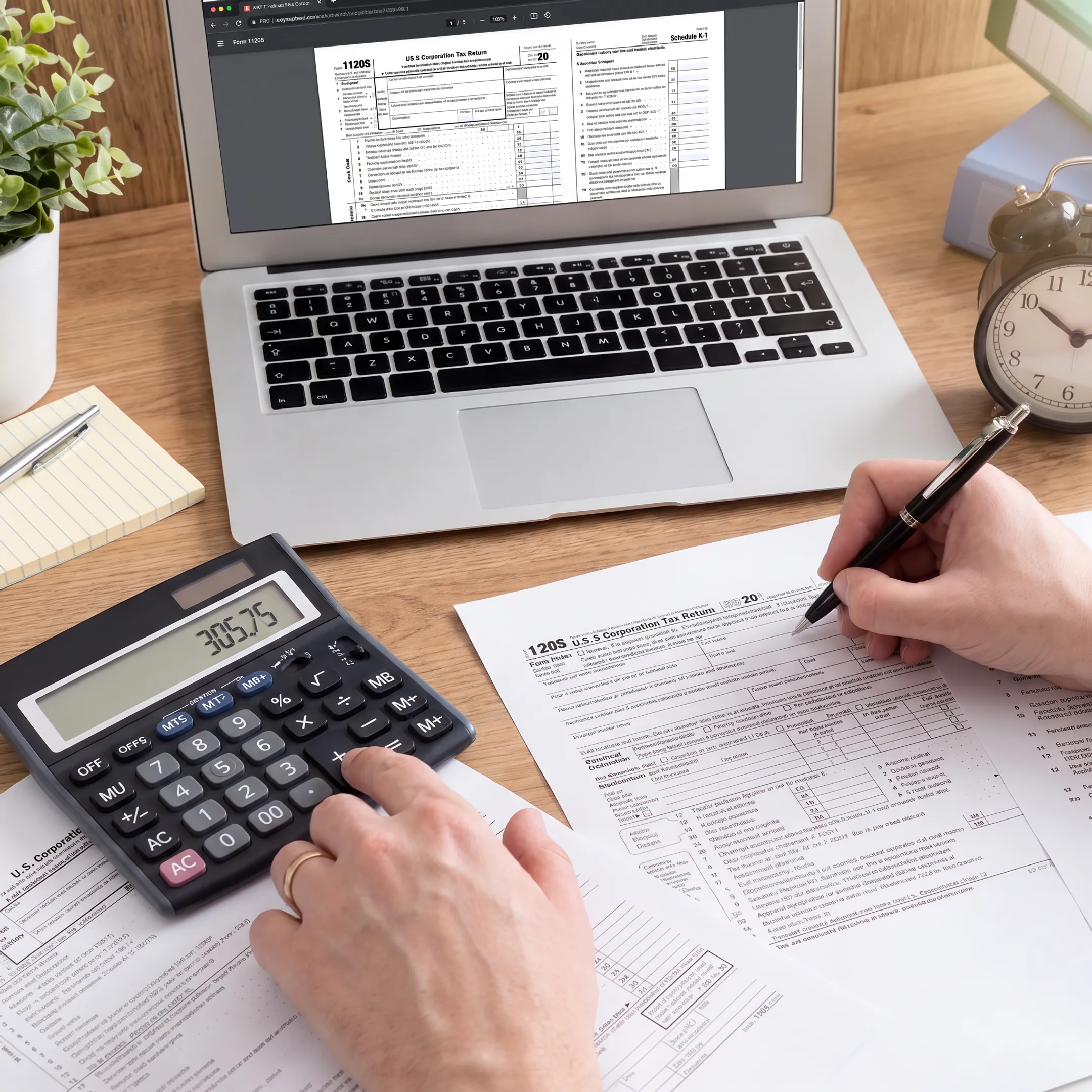US-compliant accounting team preparing S corporation reports
