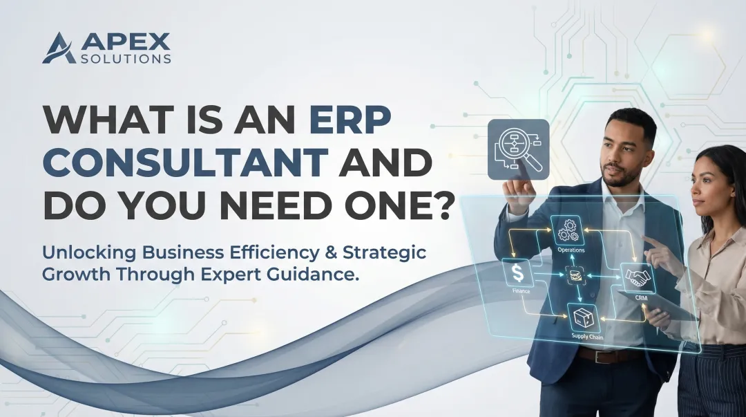 What is an ERP Consultant and Do You Need One?