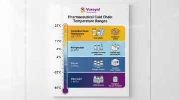 Infographic