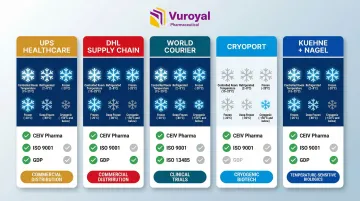Infographic