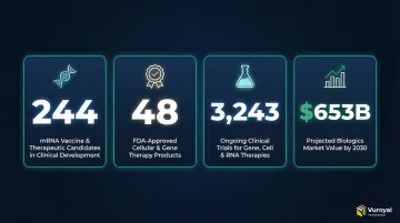 Infographic