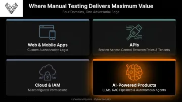 Manual penetration testing use cases across web APIs cloud and AI systems