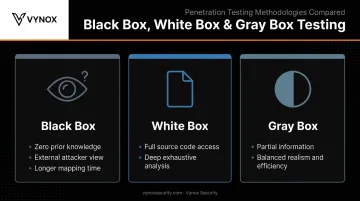 Black box white box and gray box penetration testing comparison chart