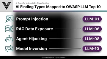 AI security findings mapped to OWASP LLM Top 10 categories