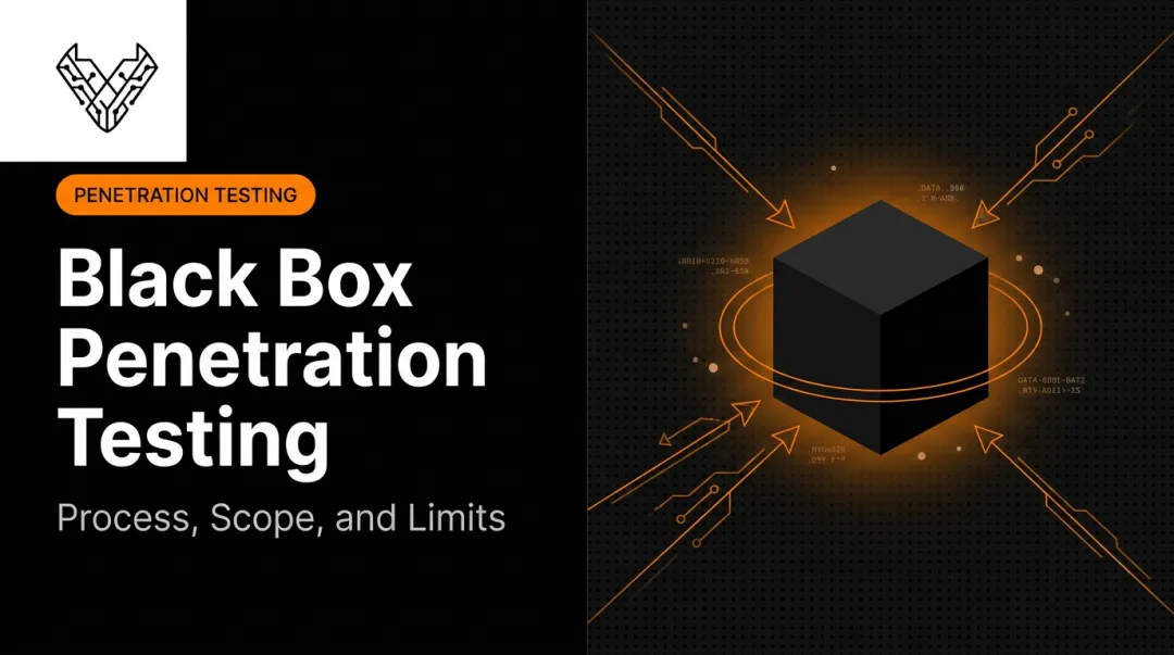 Black Box Penetration Testing: Process, Scope, and Limits