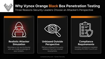 Three reasons organizations choose black box penetration testing infographic