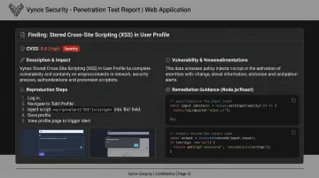 Vynox Security web application VAPT report showing vulnerability findings and remediation