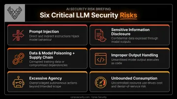Key OWASP LLM security risks including prompt injection and excessive agency