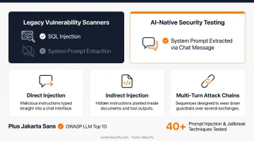 AI attack surface testing categories covering OWASP LLM Top 10 risks