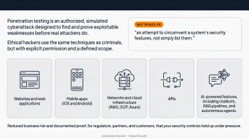 Five categories of penetration testing scope across systems and infrastructure