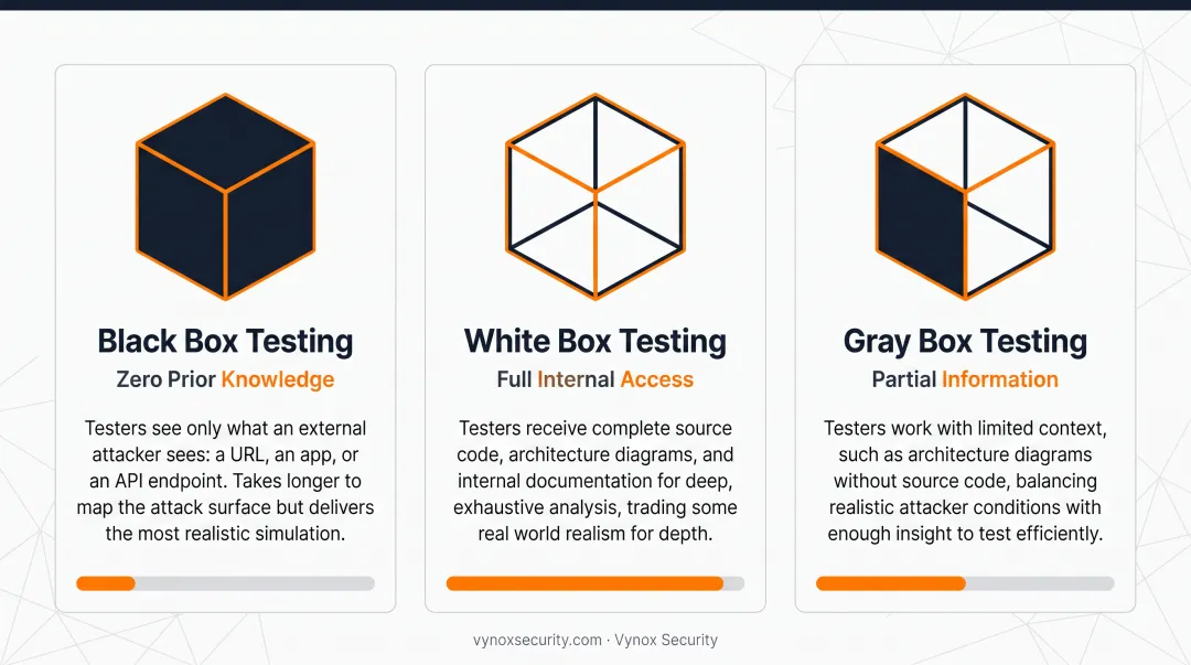 Black box white box and gray box penetration testing comparison chart