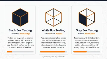 Black box white box and gray box penetration testing comparison chart