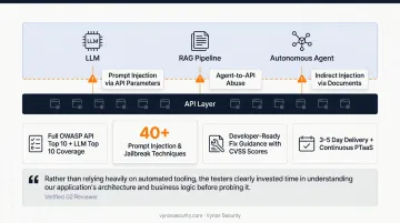 Automated API scanning versus expert-led penetration testing capability comparison