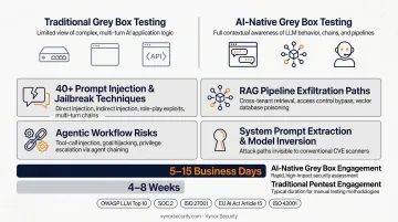 Vynox Security AI penetration test report mapped to OWASP LLM Top 10