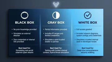 Black gray and white box penetration testing models comparison infographic
