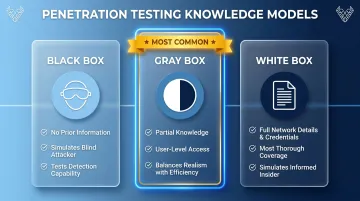 Three penetration testing models black box white box gray box comparison chart