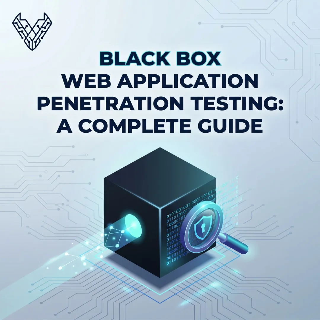 Black Box Web Application Penetration Testing: A Complete Guide