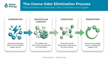 Four-stage ozone odor removal process from generation to dissipation