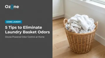 5 Tips to Eliminate Laundry Basket Odors