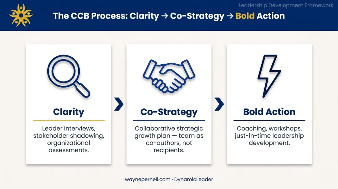 CCB Process three-stage framework clarity co-strategy bold action leadership model