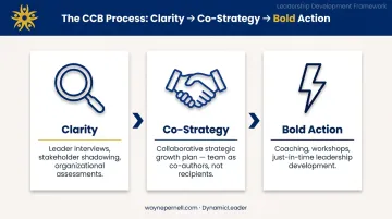 CCB Process three-stage framework clarity co-strategy bold action leadership model