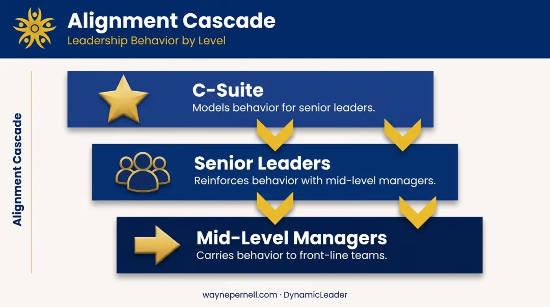 Three-level leadership behavior cascade from C-suite to front-line teams alignment model