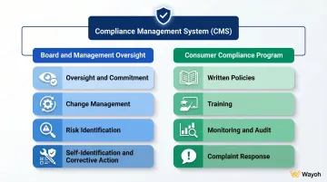 Payments compliance management system framework two-component structure board oversight program