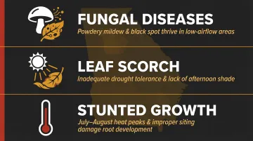 Infographic