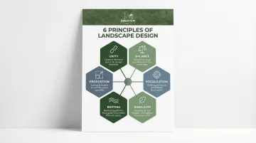 Infographic