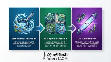 Infographic