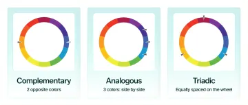 Infographic
