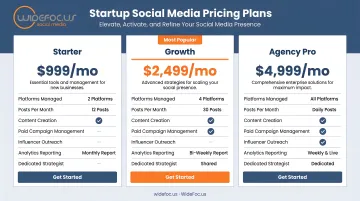 NinjaPromo three-tier subscription pricing comparison infographic for startup social media