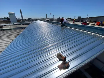 Custom ornamental iron gate with intricate scrollwork design