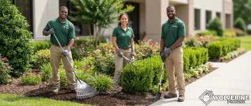 Professional Landscaping