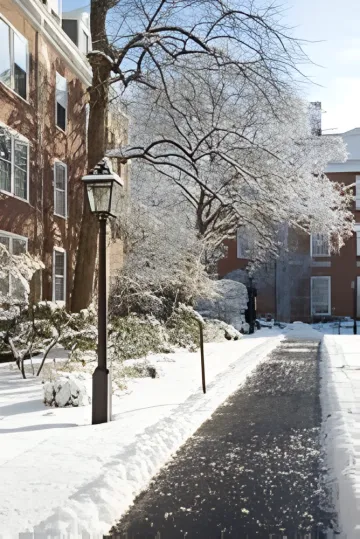 Wolverine Snow Tools