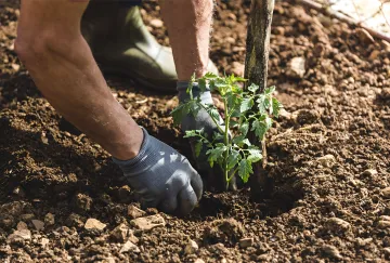 Wolverine Hand Tools Work Gloves Collection