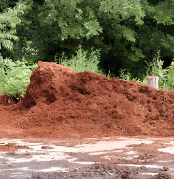 Multi-Purpose Scoops