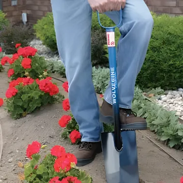 Landscaping & Groundskeeping