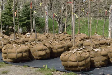 Nursery & Agriculture