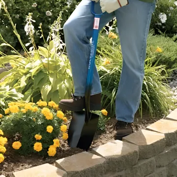 Landscaping & Grounds Maintenance