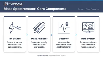 Four core mass spectrometer components process flow diagram ion source to data system