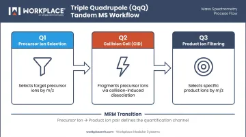 Triple quadrupole LC-MS/MS three-stage MRM transition workflow Q1 Q2 Q3
