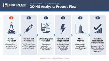 6-step GC-MS analysis process flow from sample preparation to compound identification