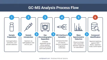 6-step GC-MS analysis process flow from sample preparation to compound identification