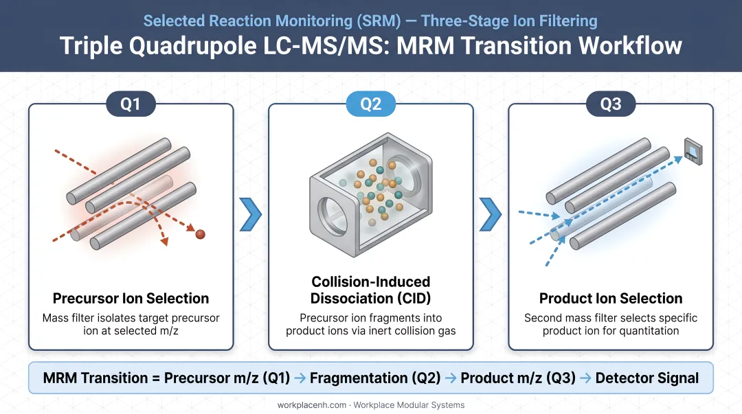 Triple quadrupole LC-MS/MS three-stage MRM transition workflow Q1 Q2 Q3